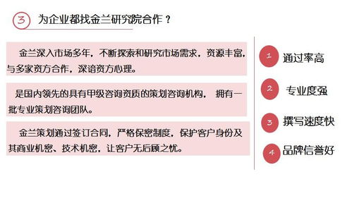 丽江市项目计划书专业撰写与策划服务指南